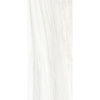 Douglas & Jones Vloertegel Douglas & Jones 120x280 cm Magnum Glans Ombre Doree (Prijs Per Tegel)