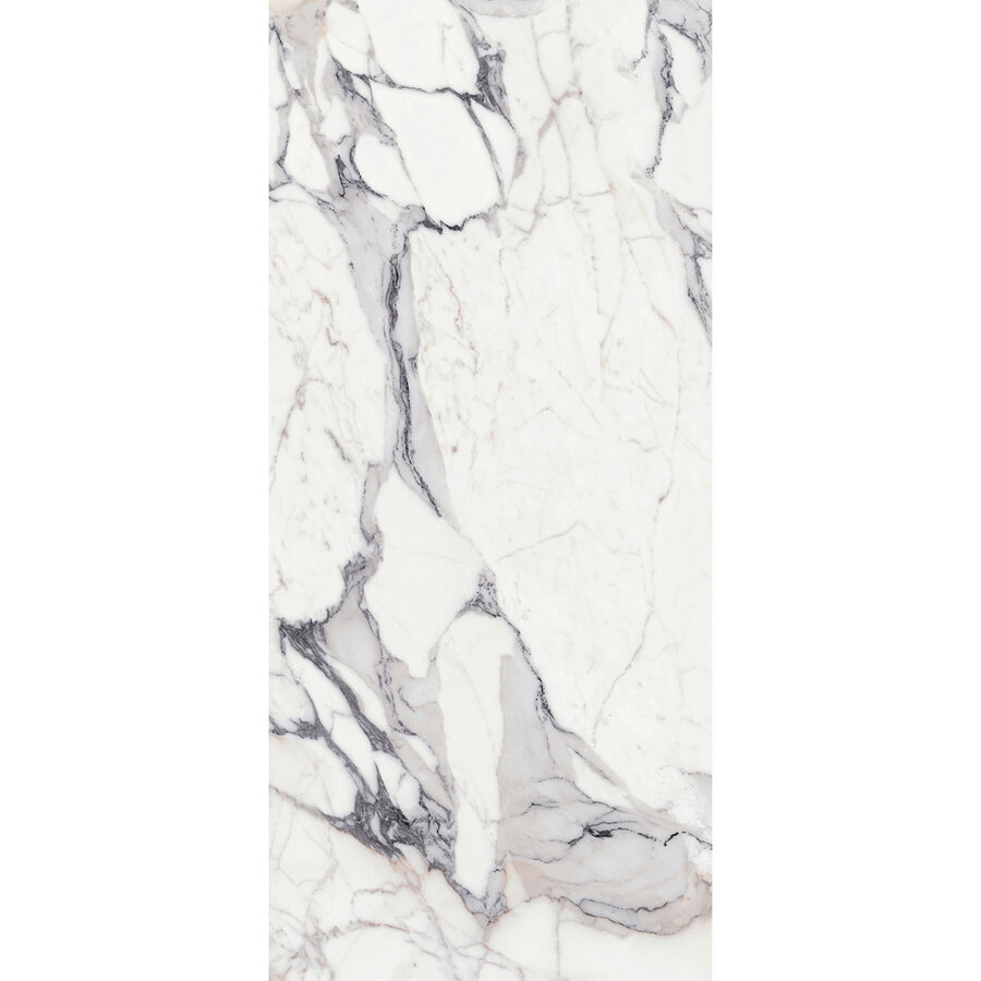 Vloertegel Douglas & Jones 120x280 cm Magnum Glans Argent (Prijs Per Tegel)