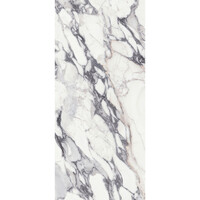 Vloertegel Douglas & Jones 120x280 cm Magnum Glans Argent (Prijs Per Tegel)