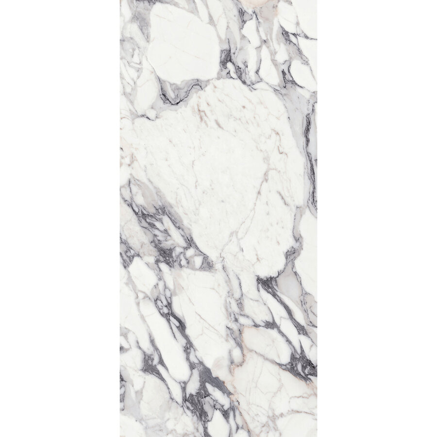 Vloertegel Douglas & Jones 120x280 cm Magnum Glans Argent (Prijs Per Tegel)