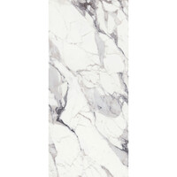 Vloertegel Douglas & Jones 120x280 cm Magnum Glans Argent (Prijs Per Tegel)