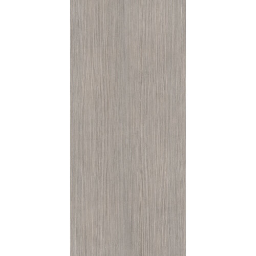 Vloertegel Douglas & Jones 120x280 cm Magnum Plank 5 (Prijs Per Tegel) 