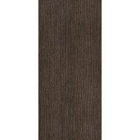 Vloertegel Douglas & Jones 120x280 cm Magnum Plank 3 (Prijs Per Tegel)