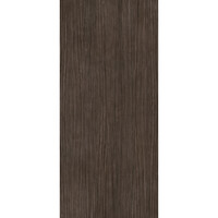 Vloertegel Douglas & Jones 120x280 cm Magnum Plank 3 (Prijs Per Tegel)