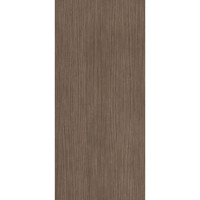 Vloertegel Douglas & Jones 120x280 cm Magnum Plank 2 (Prijs Per Tegel)