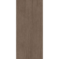 Vloertegel Douglas & Jones 120x280 cm Magnum Plank 2 (Prijs Per Tegel)