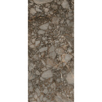 Vloertegel Douglas & Jones 120x280 cm Magnum Mat Riverbed (Prijs Per Tegel)