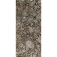Vloertegel Douglas & Jones 120x280 cm Magnum Mat Riverbed (Prijs Per Tegel)