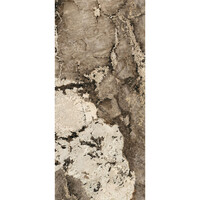 Vloertegel Douglas & Jones 120x280 cm Magnum Mat Flame (Prijs Per Tegel)