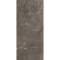 Vloertegel Douglas & Jones 120x280 cm Magnum Mat Brown (Prijs Per Tegel)