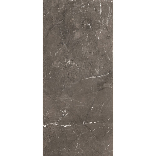 Vloertegel Douglas & Jones 120x280 cm Magnum Mat Brown (Prijs Per Tegel) 