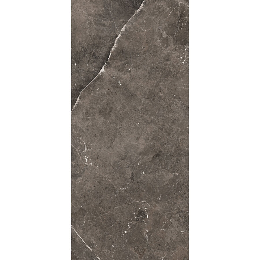 Vloertegel Douglas & Jones 120x280 cm Magnum Mat Brown (Prijs Per Tegel)