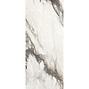Douglas & Jones Vloertegel Douglas & Jones 120x280 cm Magnum Mat Renoir (Prijs Per Tegel)