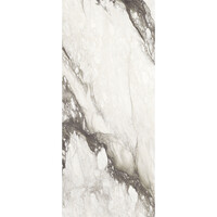 Vloertegel Douglas & Jones 120x280 cm Magnum Mat Renoir (Prijs Per Tegel)