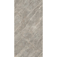 Vloertegel Douglas & Jones 120x280 cm Magnum Mat Gris (Prijs Per Tegel)