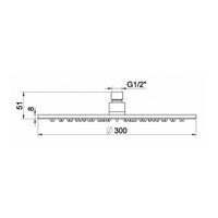 BWS Danielle Hoofddouche Rond 30 X 0.8 cm Geborsteld Staal