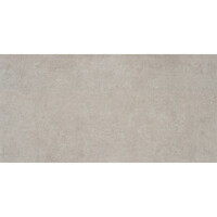 Vloertegel Alaplana P.E. Bonn Gerectificeerd 60x120 cm Mate Grey (Prijs per M2)