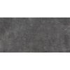 Alaplana Decor Alaplana P.E. Bonn Gerectificeerd 60x120 cm Decor Relief Mate Anthracite (Prijs per stuk)