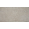 Alaplana Decor Alaplana P.E. Bonn Gerectificeerd 60x120 cm Decor Relief Mate Grey (Prijs per stuk)