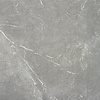 Alaplana Vloertegel Alaplana P.E. Blade Gris Mate 60x60 cm Gerectificeerd Marmerlook (Prijs per M2)