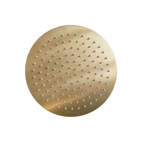 Hoofddouchekop Sanilux Disk Rond 20 cm Geborsteld Goud 