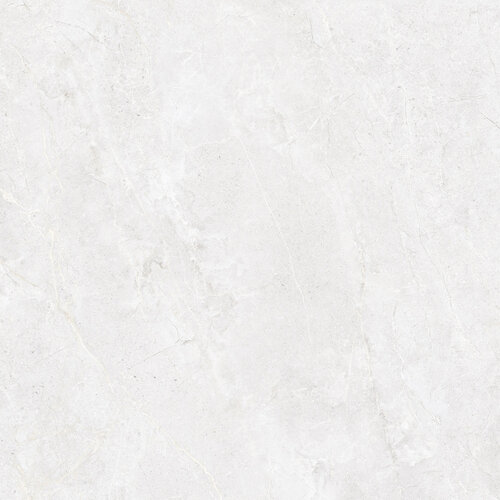 Vloertegel Energieker Wonder 120x120 Cm Mat Bright (Prijs per M2) 