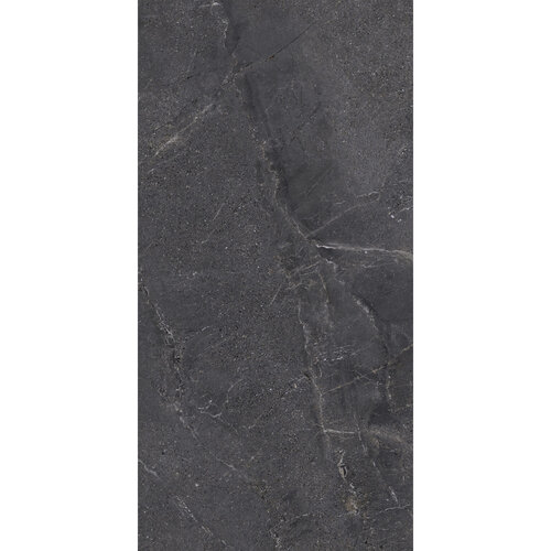 Vloertegel Energieker Wonder 60x120 Cm Mat Brave (Prijs per M2) 