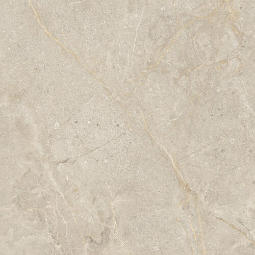 Vloertegel Energieker Wonder 60x60 Cm Mat Dunes (Prijs per M2) 