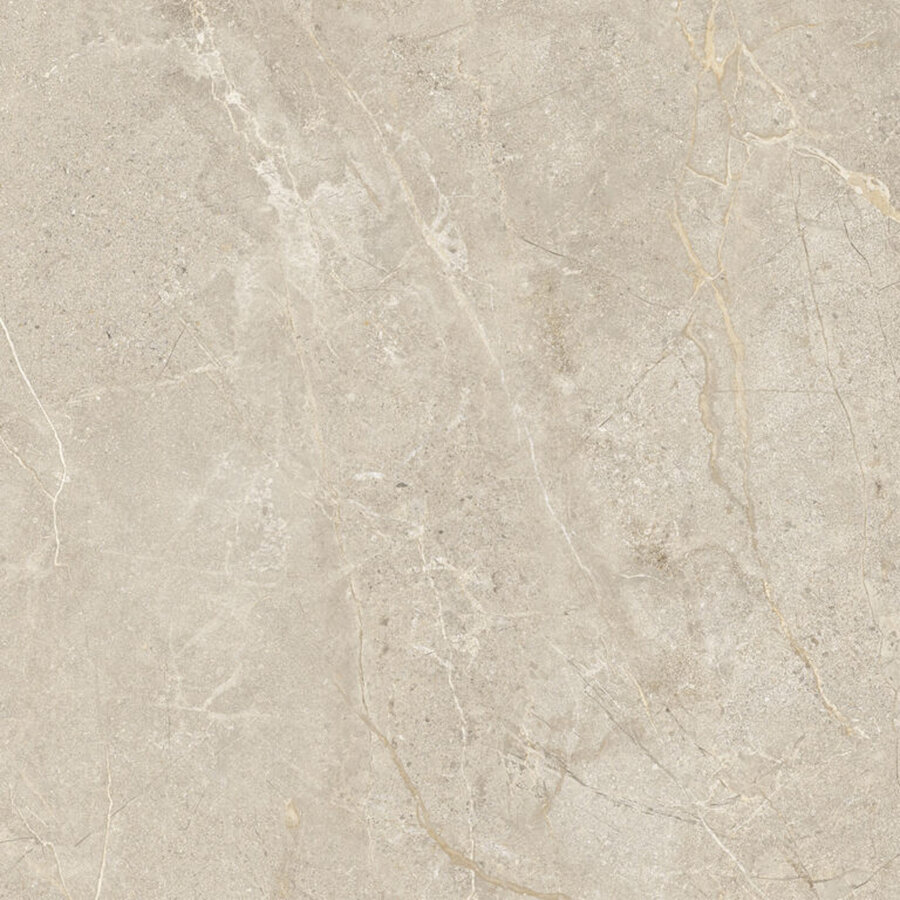 Vloertegel Energieker Wonder 120x120 Cm Mat Dunes (Prijs per M2)