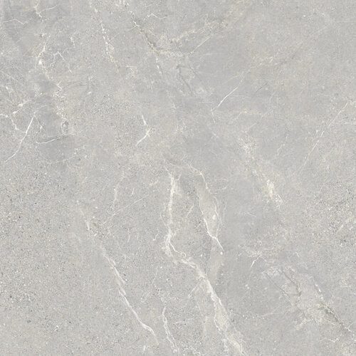 Vloertegel Energieker Wonder 60x60 Cm Mat Shade (Prijs per M2) 