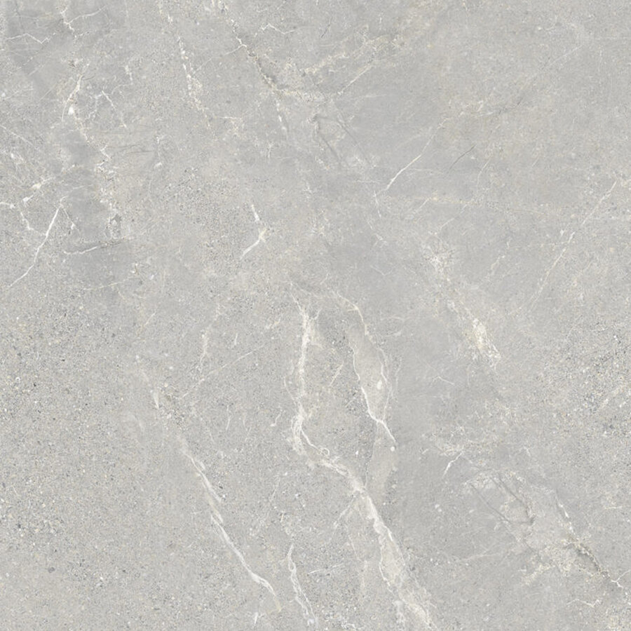 Vloertegel Energieker Wonder 60x60 Cm Mat Shade (Prijs per M2)