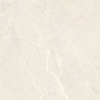 Vloertegel Energieker Wonder 60x60 Cm Mat Sleet (Prijs per M2)