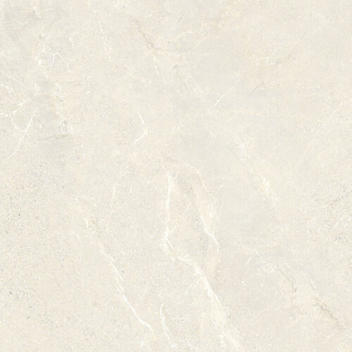 Vloertegel Energieker Wonder 60x60 Cm Mat Sleet (Prijs per M2) 