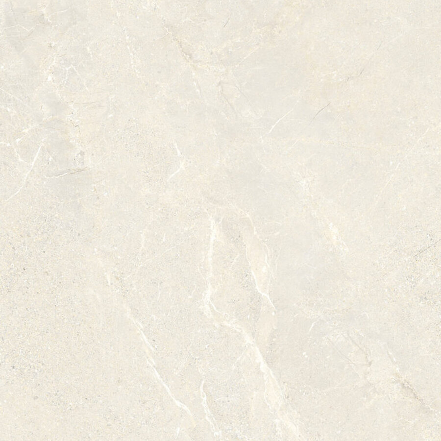 Vloertegel Energieker Wonder 60x60 Cm Mat Sleet (Prijs per M2)