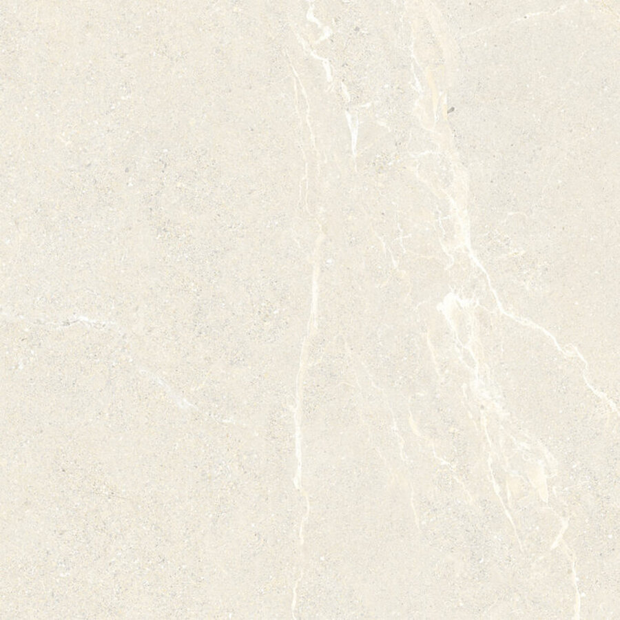 Vloertegel Energieker Wonder 120x120 Cm Mat Sleet (Prijs per M2)