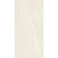 Vloertegel Energieker Wonder 60x120 Cm Mat Sleet (Prijs per M2)