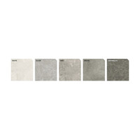 Vloertegel Energieker Parker 80x80 Naturale 9mm Grey (Prijs per M2)