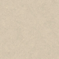 Vloertegel Pamesa Cromat Marfil 120x120 cm Gerectificeerd Mat Beige (Prijs Per M2)