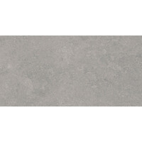 Vloertegel Pamesa Cromat Gris 30x60 cm Gerectificeerd Mat Grijs (Prijs Per M2)