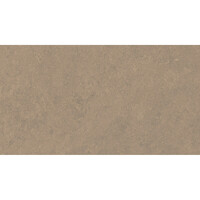 Vloertegel Pamesa Cromat Noce 30x60 cm Gerectificeerd Mat Bruin (Prijs Per M2)