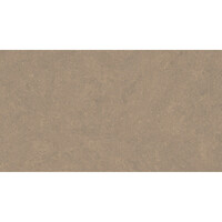 Vloertegel Pamesa Cromat Noce 30x60 cm Gerectificeerd Mat Bruin (Prijs Per M2)