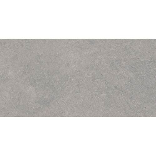 Vloertegel Pamesa Cromat Gris 60x120 cm Gerectificeerd Mat Grijs (Prijs Per M2) 