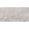 Pamesa Vloertegel Pamesa Erding Silver 30x60 cm Gerectificeerd Mat Grijs (Prijs Per M2)