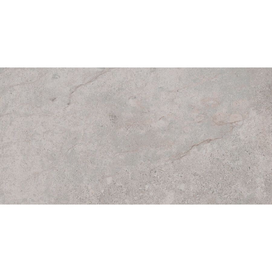 Vloertegel Pamesa Erding Ash 30x60 cm Gerectificeerd Mat Grijs (Prijs Per M2)