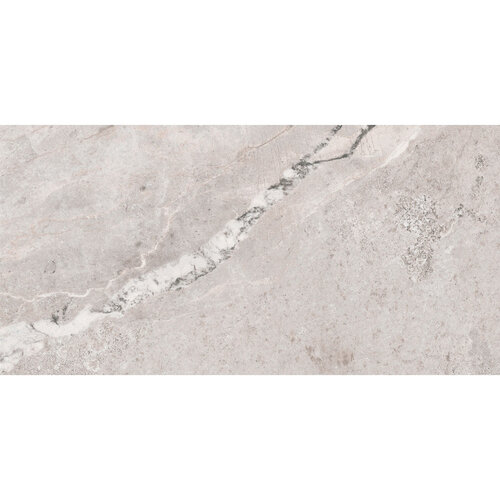 Vloertegel Pamesa Erding Silver 60x120 cm Gerectificeerd Mat Grijs (Prijs Per M2) 