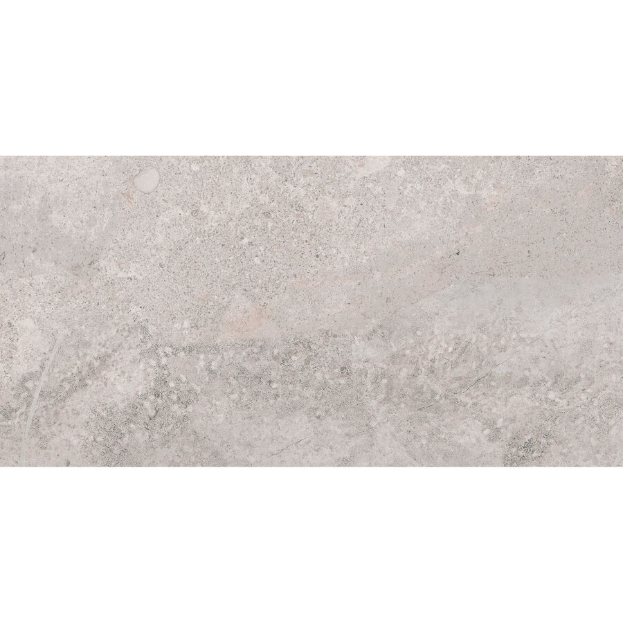 Vloertegel Pamesa Erding Silver 60x120 cm Gerectificeerd Mat Grijs (Prijs Per M2)