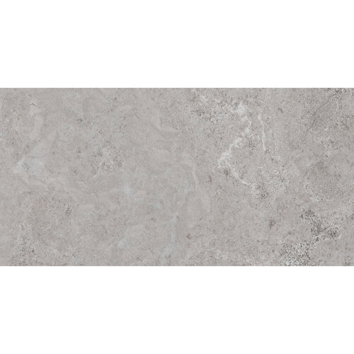 Vloertegel Pamesa Erding Ash 60x120 cm Gerectificeerd Mat Grijs (Prijs Per M2) 