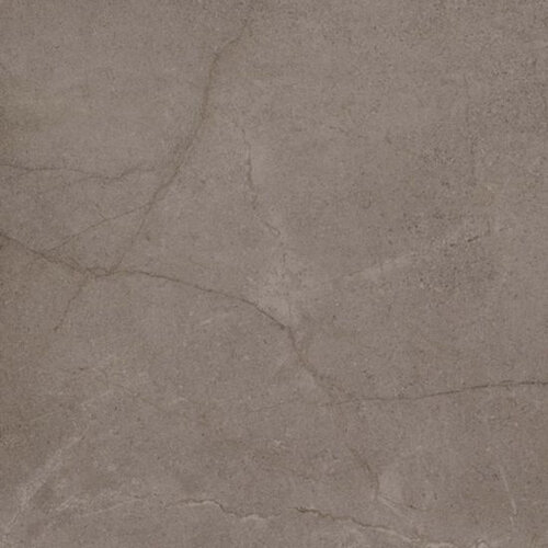 Buitentegel Beste Koop Ext. Uni 60x60 cm Gerectificeerd Mat Light Brown (Prijs Per M2) 