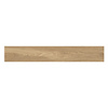 Douglas & Jones Vloertegel Douglas Jones Woodland 30x120 cm Mat Bruin (Prijs Per M2)