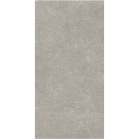 Vloertegel Flaminia Surface Greige 60x120 Gerectificeerd (Prijs Per M2)